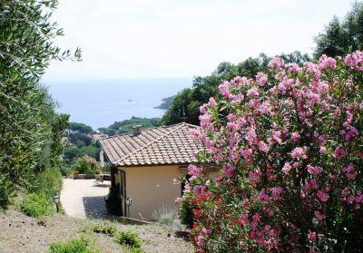appartamento Isola d'Elba